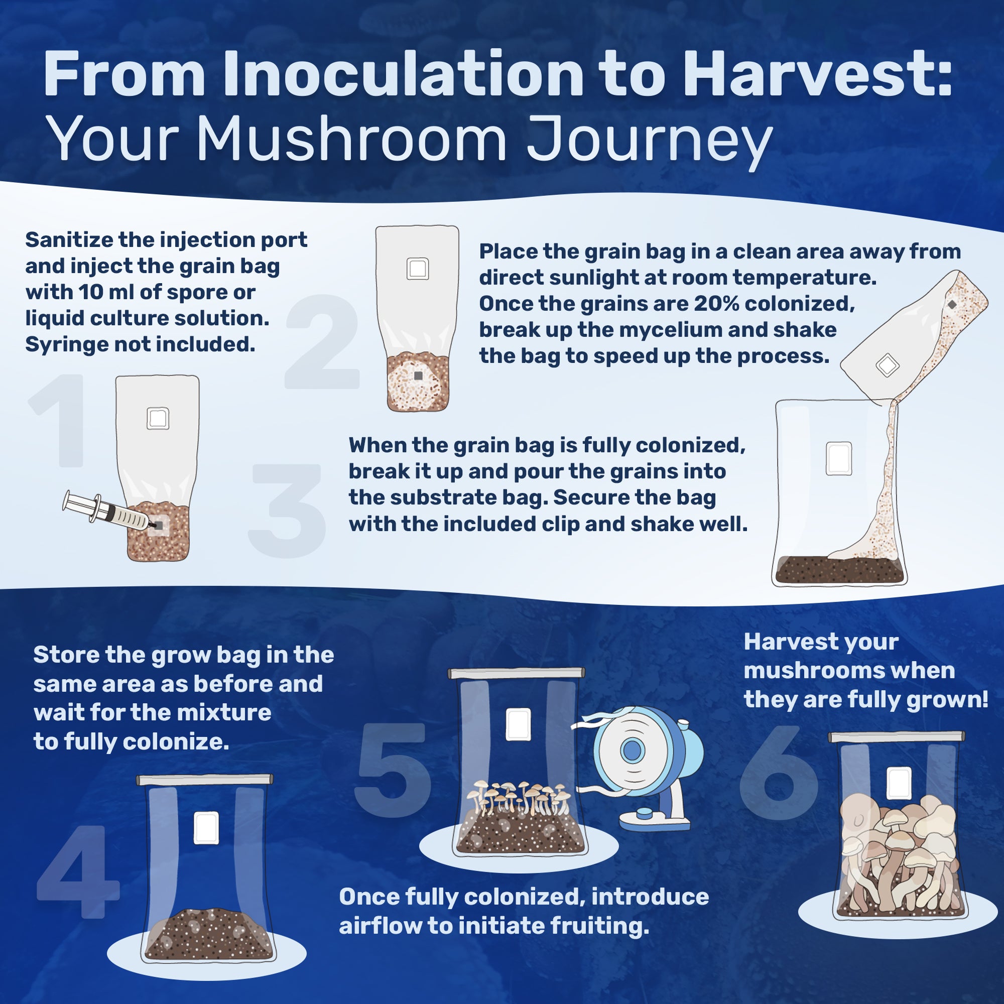 Mushroom Grow Kit How-To